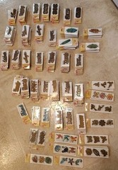 Chipboard Shapes &Words 193 Pkgs! Journals, Scrapbooking, Card Making. Mixed Lot