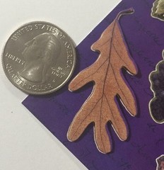 GRAPEVINE 3-D Dimensional FRAME(7pc)The Paper Studio Leaves•Grapes•Stamps•Nature