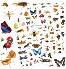 Wild Animals Stickers 750 Count Jungle Safari Woodland Zoo Creatures