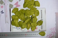 LEAVES Light GREEN MEDIUM 50 Pack Paper – 35mm long x 25mm wide Manor House