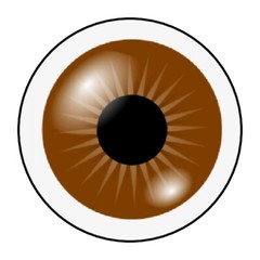 eye stickers, labels, tags, envelope seals, eye ball, brown