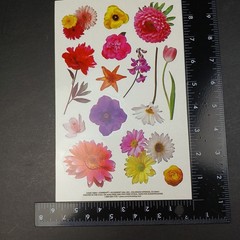 Vintage Photo Floral Stickers by Current 73833 6×9″ New