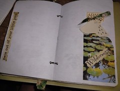 Pond Life Junk Journal Scrapbook USA Seller