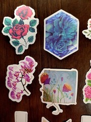 STICKERS x 10 Plants Flowers Tree Orchid Succulents Grow Rose Poppy PL4