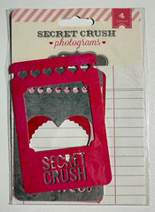 Pink Paislee Photo Frames Variations-Citrus Bliss, Secret Crush, Portfolio
