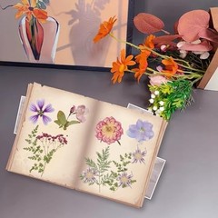50pcs Dried Pressed Flowers Kit Real Natural Flowers for Resin Jewelry DIY Craft