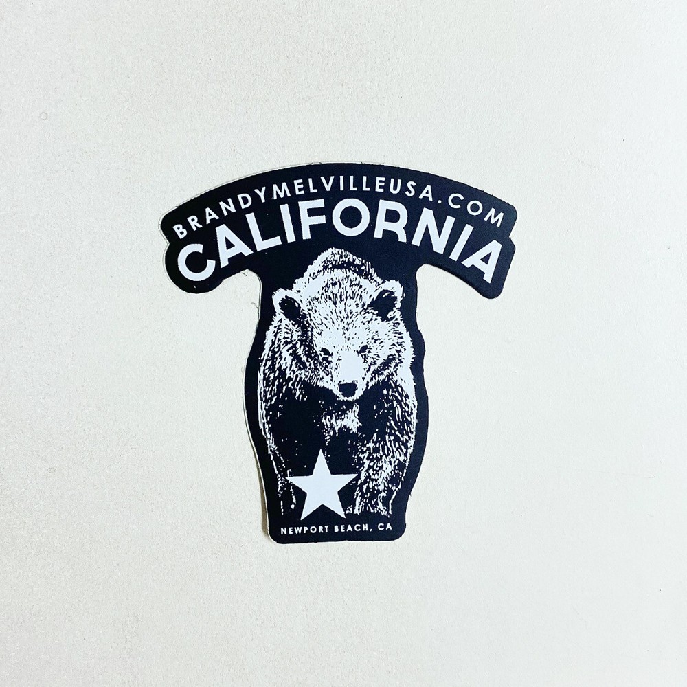 RARE California Bear Special Brandy Melville Sticker