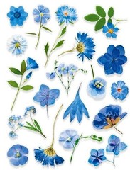 VINYL PRESSED FLOWER PHOTO STICKERS 7 7/8″X 5.75″ SHEET #1M Blue