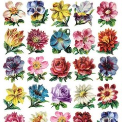 Violette Stickers – Mini Flowers – Colorful Floral Sticker Sheet – Planners