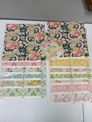 Lot of Anna Griffin Feather Papers Cardstock and Text Sheets 12 x 12
