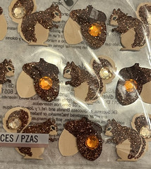 VINTAGE-Jolee’s Boutique EK Stickers -New -Glitter Squirrels & Acorns
