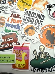 NEW Meme Stickers 15 Pcs Funny Humor Laptop Water Bottle Savage Snarky Sassy
