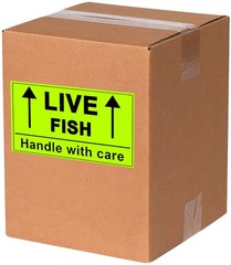 Remarkable Live Fish Stickers Shipping Labels, 2 X 3 Inch Fluorescent Green Plea