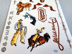 Cowboy Country Wild West Stickers 12″ Scrapbooking Sheets Crafts Etc