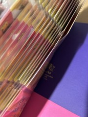 Vintage Lisa Frank Koala Binder With Sailor Moon Trading Cards