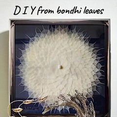 500x Natural Skeleton Bodhi Leaves Dried Craft DIY Card Wedding Art Decor 2-6″