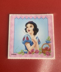 Snow White Sticker Mod 2.5” Inches