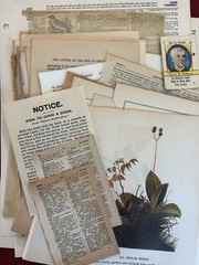 Poetrycore Literary Theme Lot of 100 Junk Journal- book pages playing cards more
