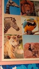 Vintage Gibson Stickers Animals Flying Polar Bear Giraffe Panda 1 Sheet READ