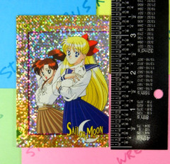 Sailor Moon & Friend Prismatic Trading Card Sticker