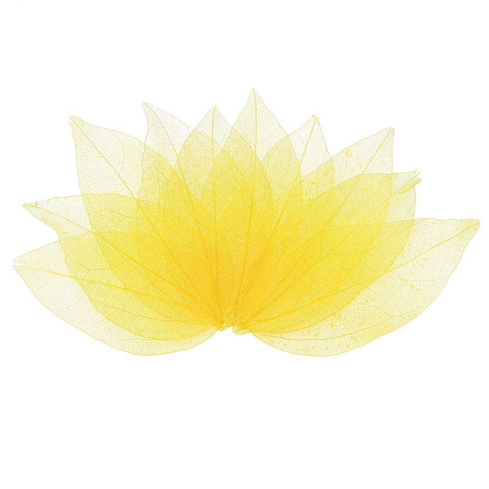 100-Pack Skeleton Leaves, Natural Rubber Leaves Vein[4-6cm, Dark Light Yellow]