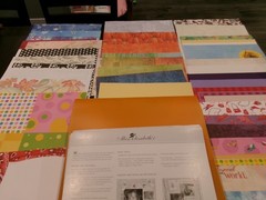 Scrapbooking Paper Mixed Lot Of 112, Various Sizes,Brands,Colors, w/Case