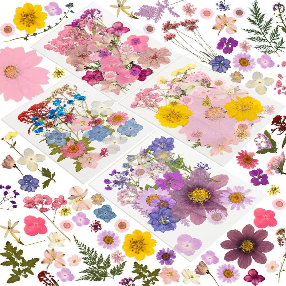 204 Pcs Dried Pressed Flowers for Resin Crafts, Real Purple Pink 204pcs