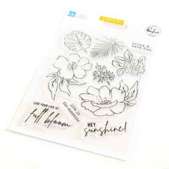 PINK FRESH – CLEAR ACRYLIC STAMPS – SUNSHINE ON MY MIND