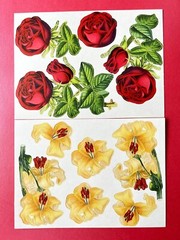 Anna Griffin Flower Pot Decoupage Diecuts 70+ PCS + Floral Recollection Layers