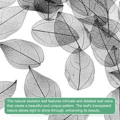 200-Pack Skeleton Leaves, Natural Rubber Leaves Vein[4-6cm, Black]