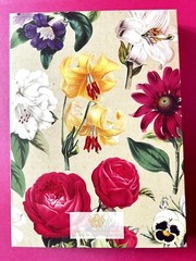 Anna Griffin Flower Pot Decoupage Diecuts 70+ PCS + Floral Recollection Layers