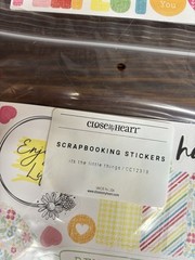 CLOSE TO MY HEART SCRAPBOOKING STICKERS IT’S THE LITTLE THINGS CC12318 NEW