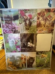 Vintage 1979 Hallmark Ambassador Cats Kittens & Flower Garden Stickers 2 Partial