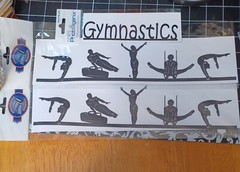 NEW Title Lot 3 PACK border GYMNASTICS Beam Floor Pommel Parallel Bar Ring Vault