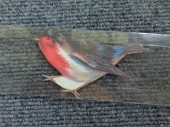 Lot of Vintage Paper Bird Small Cutouts for Junk Journaling Scrapbooking Crafts