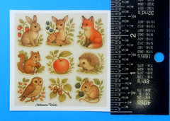 Animals Fruits & Foilage Mini Sticker Sheet