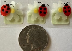VELLUM LADYBUG & FLOWER PHOTO CORNER Dimensional Stickers(12pc)Bugs•Card Making