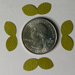 GREEN MID LEAF DUO Die-cut Embellishment(20pc)Jolee’s•Flower•Garden•Stem•Bush