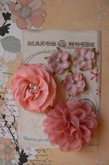 Mixed APRICOT Fabric Organza Lace 5 Flower Pk 3-8cm Manor House