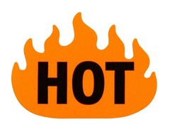 1000pcs Fluorescent Red Hot Fire Stickers – Rave Labels for Parties & Spicy Food