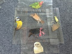 Lot of Vintage Paper Bird Small Cutouts for Junk Journaling Scrapbooking Crafts