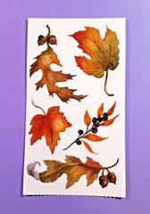 Frances Meyer Fall Leaves sticker module