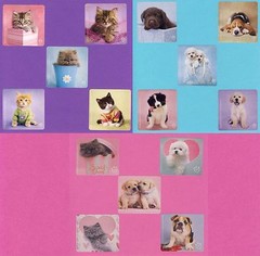 15 Rachael Hale Cats and Dogs Assorted – Large Stickers – Puppies, Kittens