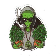 Stickers for Water Bottles, 420 Stickers for Teens Adults, Vinyl Waterproof
