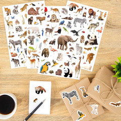 Wild Animals Stickers 750 Count Jungle Safari Woodland Zoo Creatures