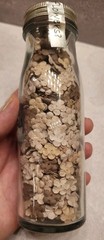 Prima Jar Got Flowers Ivory Cream Brown Paper Flowers New Crafting Scrapbooking