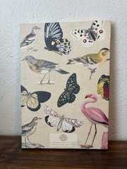 ANNA GRIFFIN All About Birds & Butterflies 396 Die Cuts – NEW