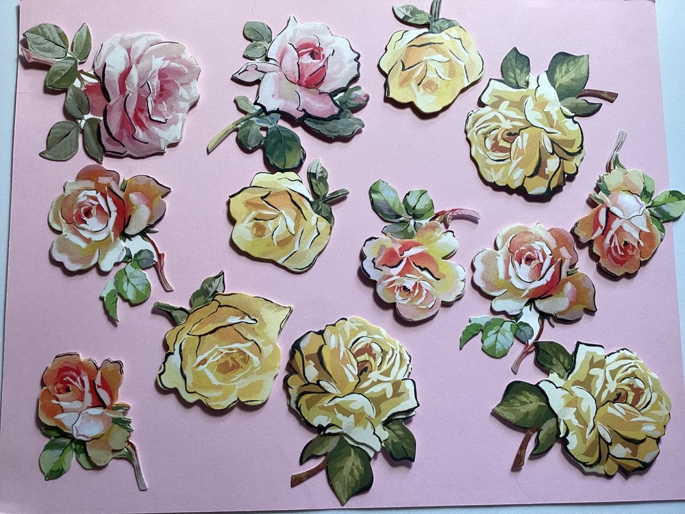 Anna Griffin Mascara Rose Stickers 13 Pieces