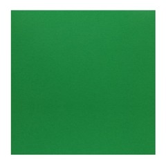 Paper Accents Muslin Texture Cardstock, Christmas GreenUPC, 12×12 Inch, 25 Pack,