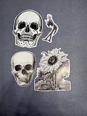 4 Sticker Set Black and White Line Art Skulls Flowers By Julie de Graag Skeleton